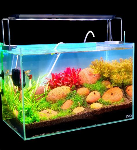 ada aquascape|Iba pa.